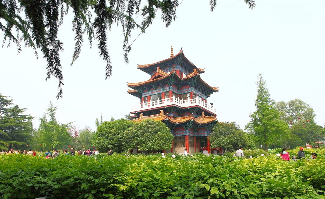 1554272957216446.jpg timg (6).jpg